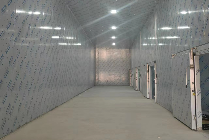 伊川縣白元鎮富硒果蔬冷鏈倉儲項目