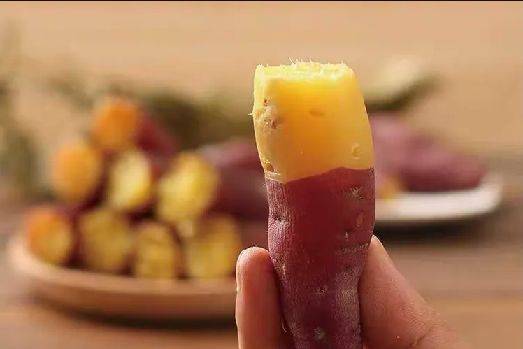 智能甘薯糖化愈合庫，紅薯存儲新變革