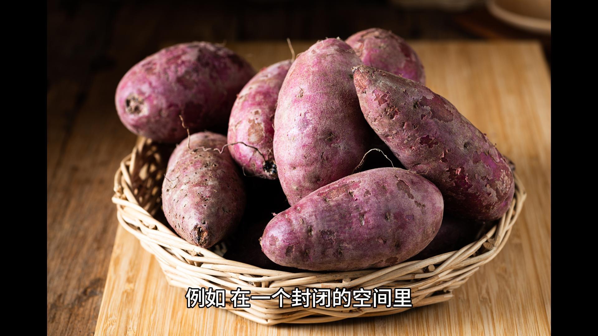 紅薯不能和哪些農作物一起存儲