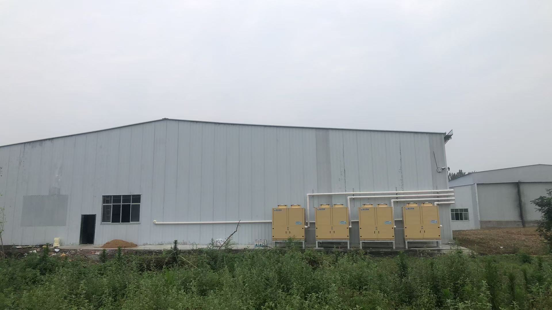 阜陽智能甘薯糖化愈合庫