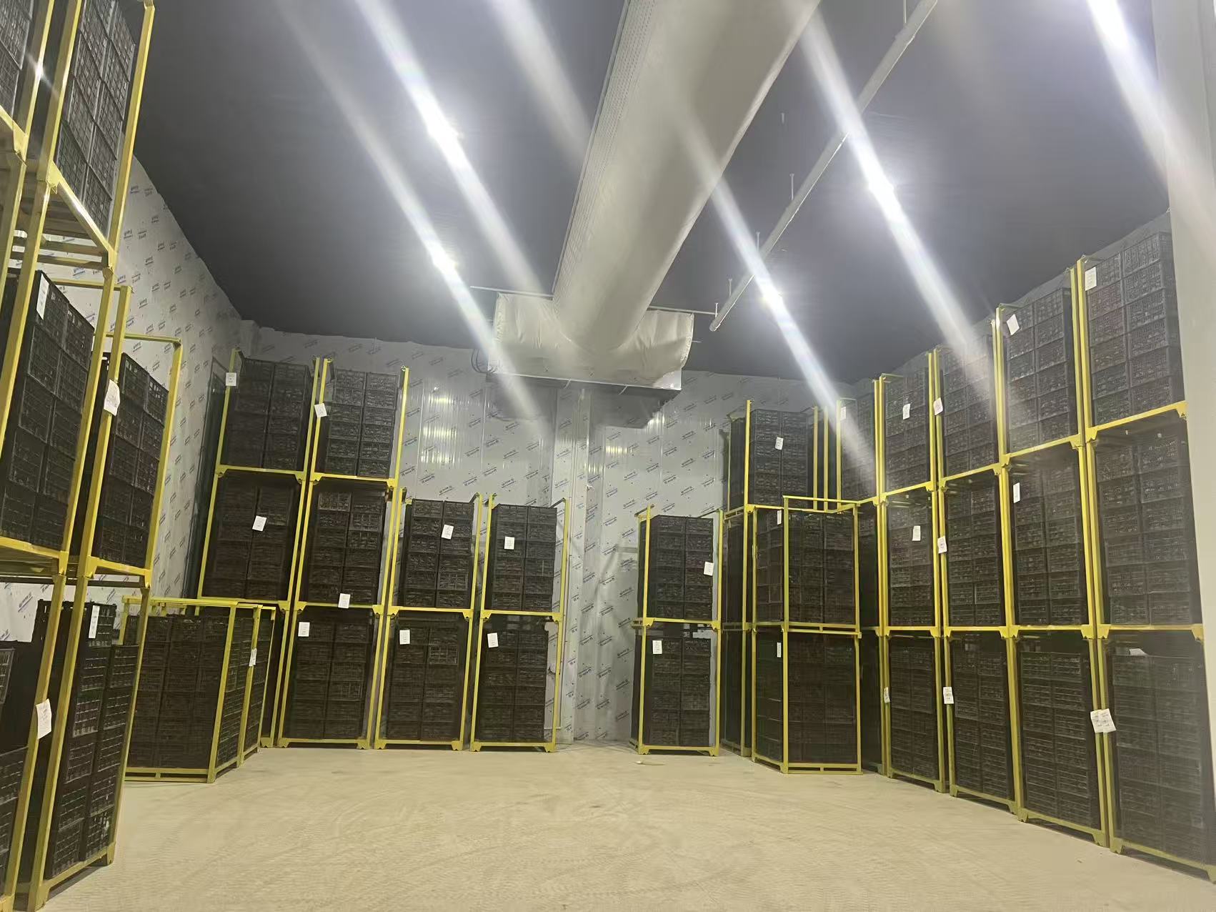 河北智能甘薯糖化愈合庫項目